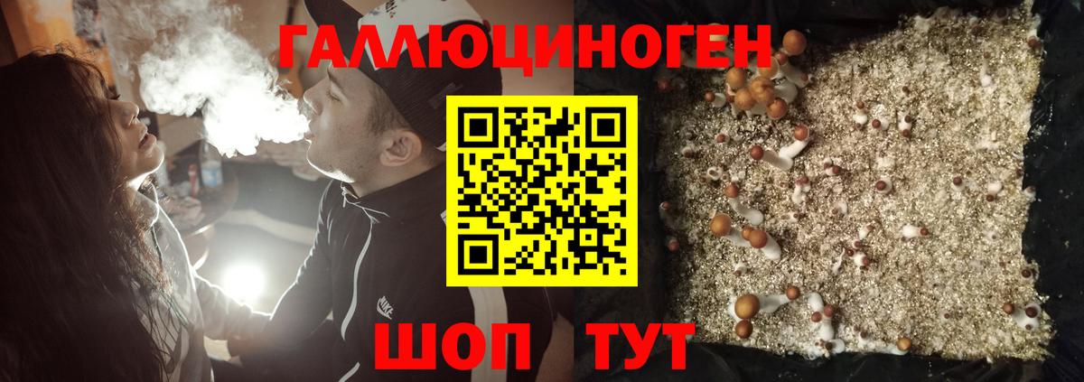 Галлюциногенные грибы Cubensis Йошкар-Ола