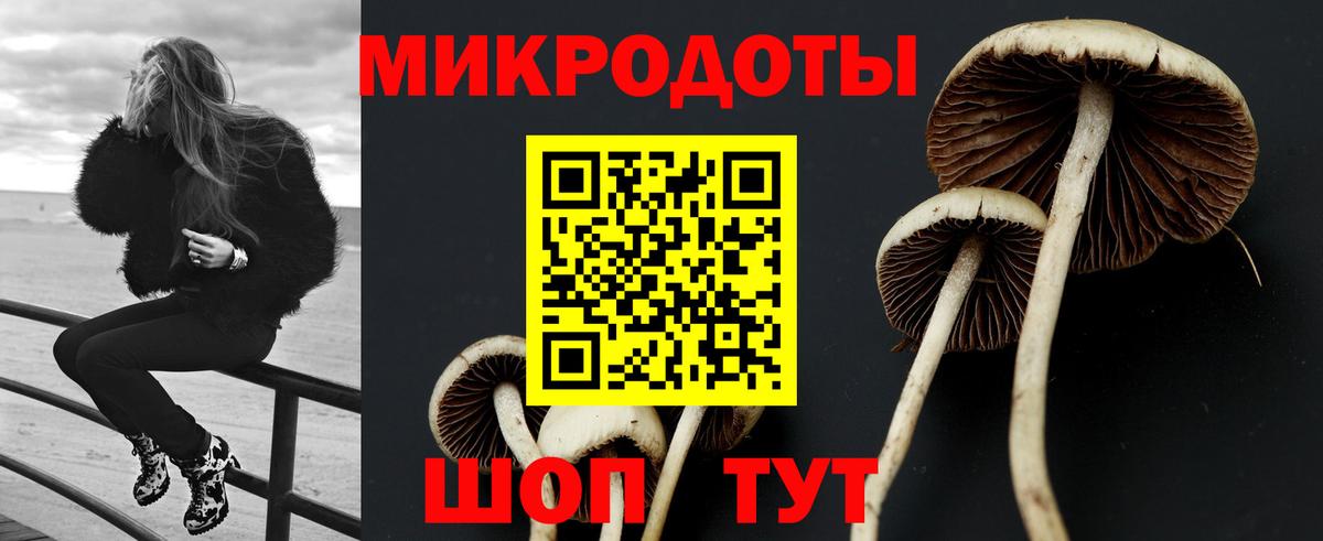 Псилоцибиновые грибы GOLDEN TEACHER  Вход с VPN  Йошкар-Ола 